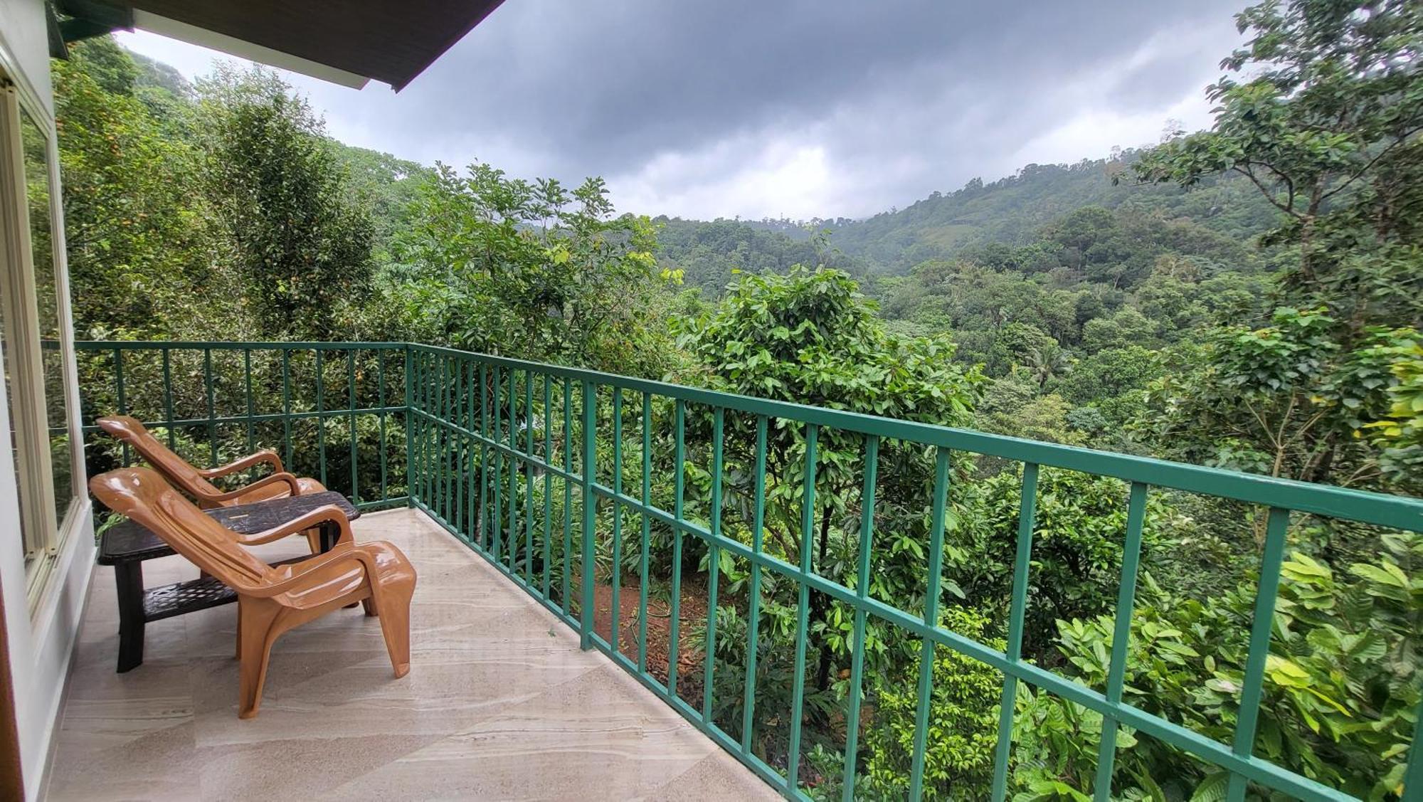 Homestay Cradle