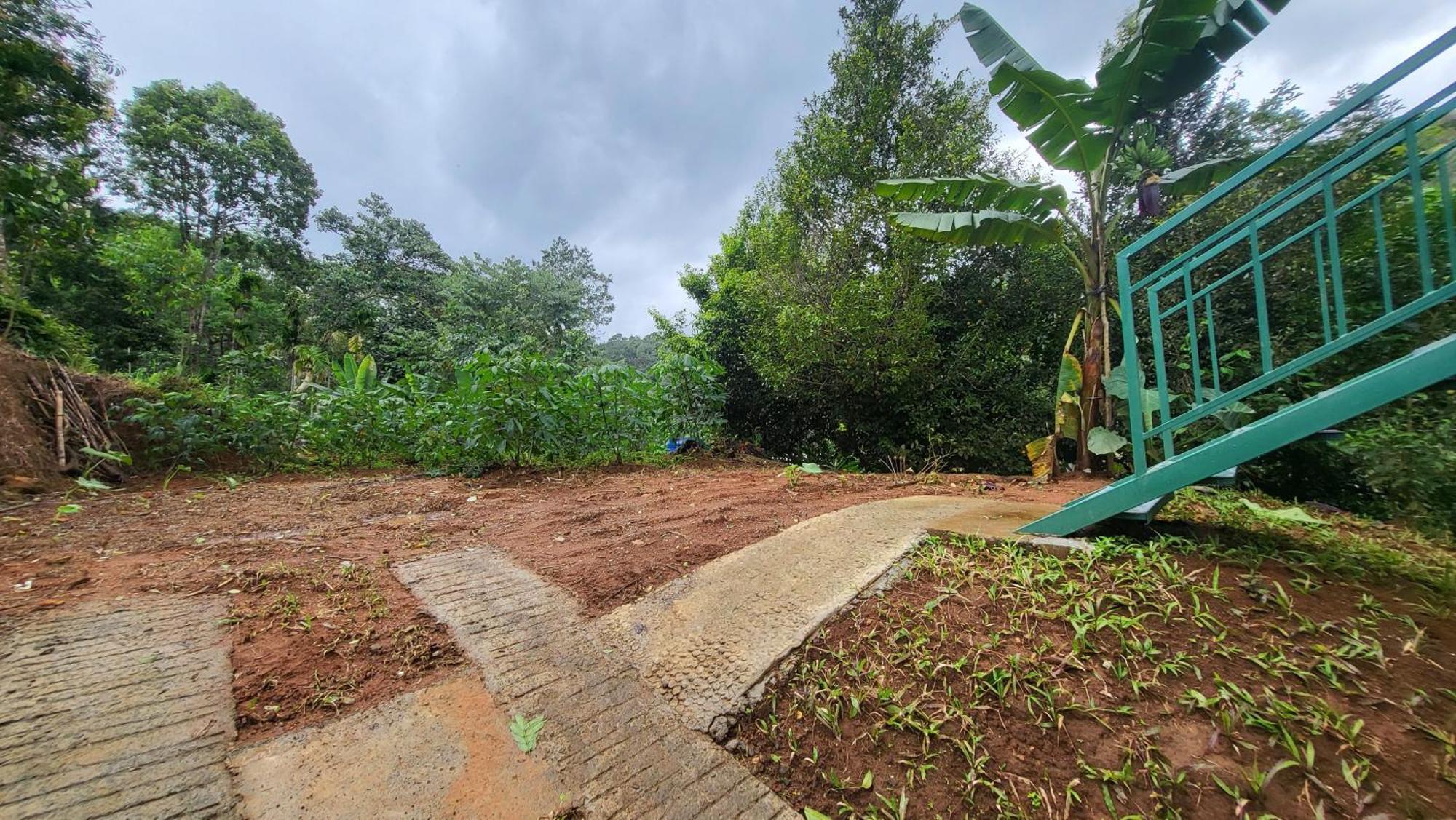 Cradle Homestay Munnar